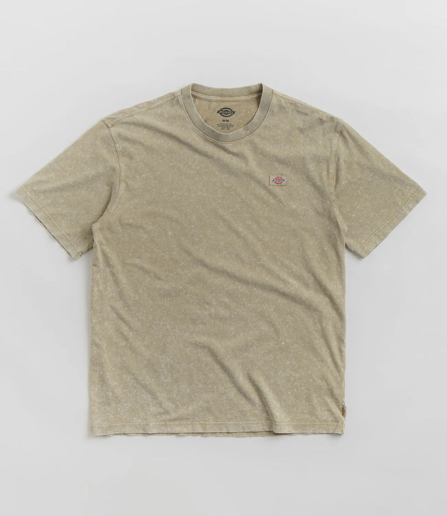 Dickies - Newington Short Sleeve T-shirt - Decimal.