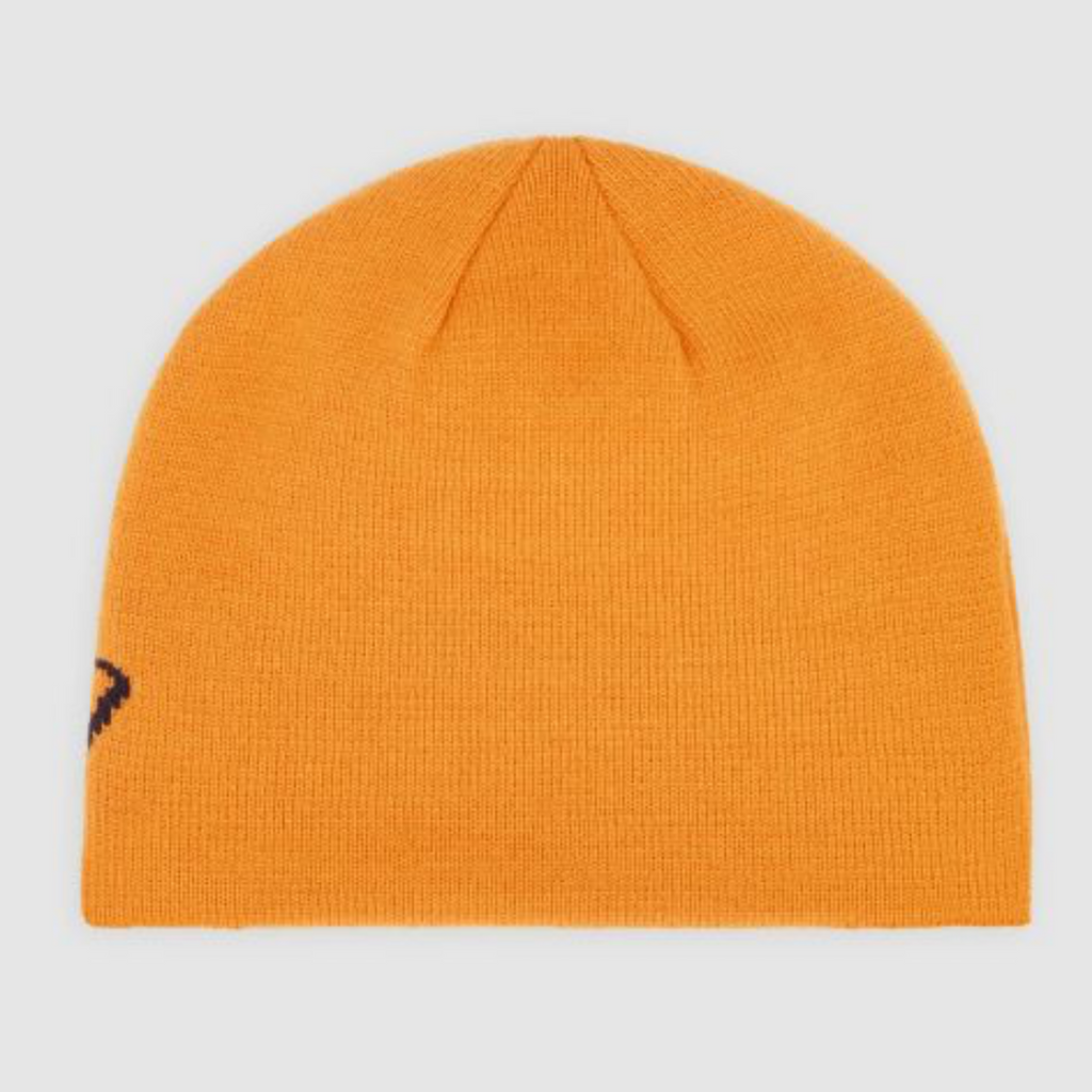 Dickies - Summerdale logo beanie - Pumpkin Spice - Decimal.
